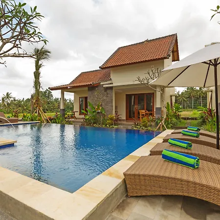 Sisin Ubud View