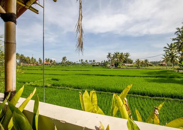 Sisin View Vakantiepark 3*
